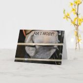 この馬は君達にはハッピーバースデーだ カード (黄色い花)