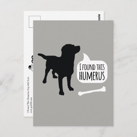 この骨はがき付きハメロス犬を見おもしろいつけた ポストカード (正面/裏面)