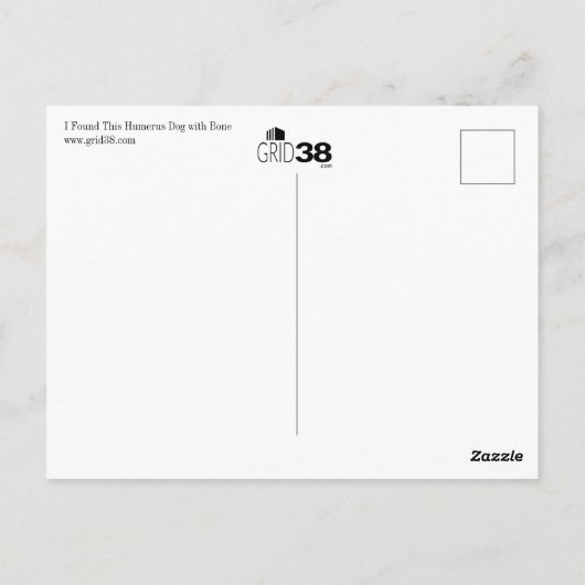 この骨はがき付きハメロス犬を見おもしろいつけた ポストカード (裏面)