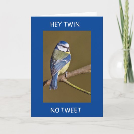 この鳥からのツインの誕生日のツイート カード (正面)