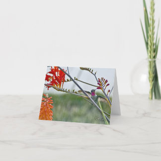 この1枚 カード