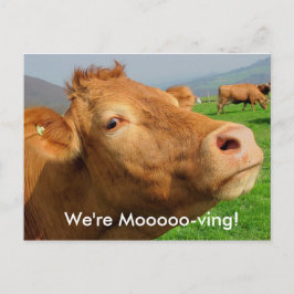 この"We're Mooving"ポストカードにアドレスを追加 案内ポストカード