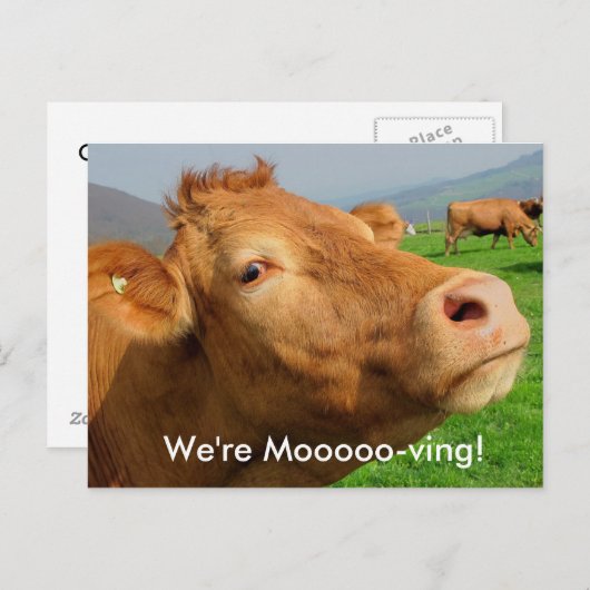 この"We're Mooving"ポストカードにアドレスを追加 案内ポストカード (正面/裏面)
