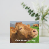この"We're Mooving"ポストカードにアドレスを追加 案内ポストカード (スタンド正面)