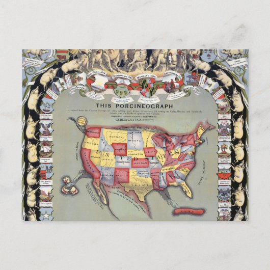 このPORCINEOGRAPH, c1876 ポストカード (正面)