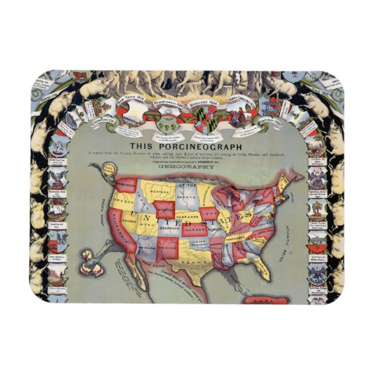 このPORCINEOGRAPH, c1876 マグネット (横)