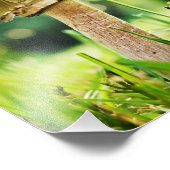 このShroomの自然クール写真で閉じる フォトプリント (角)