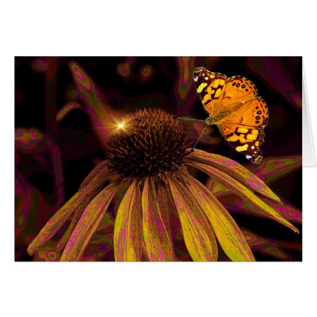 こはく色 (正面横)