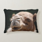 こぶ日のラクダ アクセントクッション (正面)