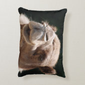 こぶ日のラクダ アクセントクッション (裏面(縦))