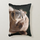 こぶ日のラクダ アクセントクッション (正面(垂直))