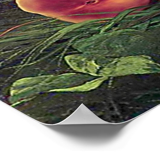 こぼれた桃 ポスター (角)