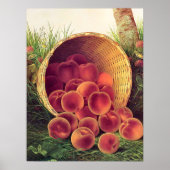 こぼれた桃 ポスター (正面)