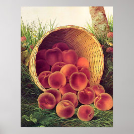 こぼれた桃 ポスター