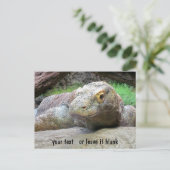 こもどドラゴン顔とテキスト ポストカード (スタンド正面)