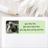 こもど住所 シール(T-Fill) ラベル (インサイチュ)