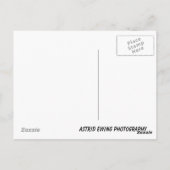 これが人生だ… ポストカード (裏面)