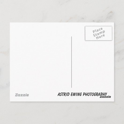 これが人生だ… ポストカード (裏面)