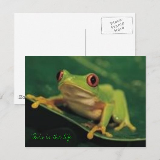 これが人生だ ポストカード (正面/裏面)