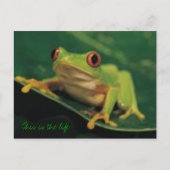 これが人生だ ポストカード (正面)