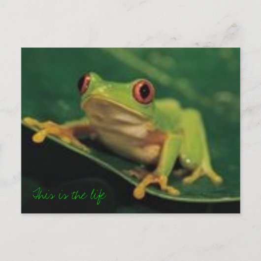 これが人生だ ポストカード (正面)