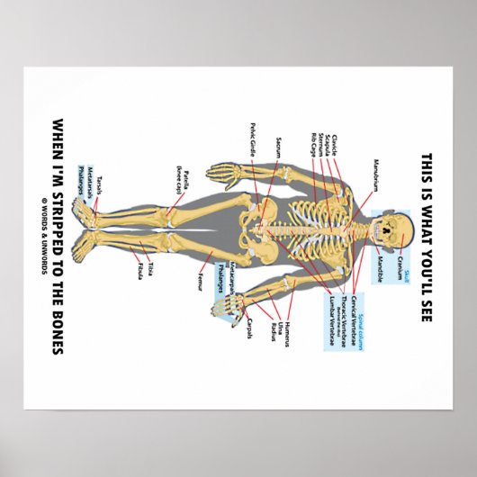 これが俺が骨に裸になった時に見える事だ ポスター (正面)