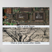 これが君の脳だ。 ポスター (正面)