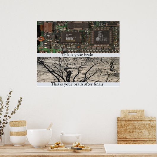 これが君の脳だ。 ポスター (キッチン)