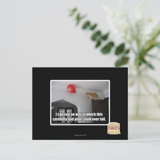 これが失敗するはずが無い ポストカード (スタンド正面)