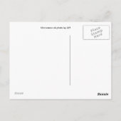 これが家族のイベントか? ポストカード (裏面)