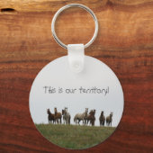 「これが我らの領土だ」 キーホルダー (正面)