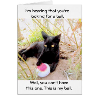 これが私のボールだ