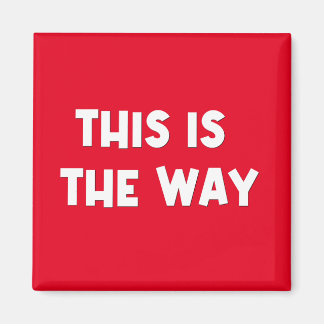 これがWay Magnet マグネット