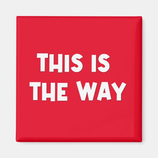 これがWay Magnet マグネット (正面)