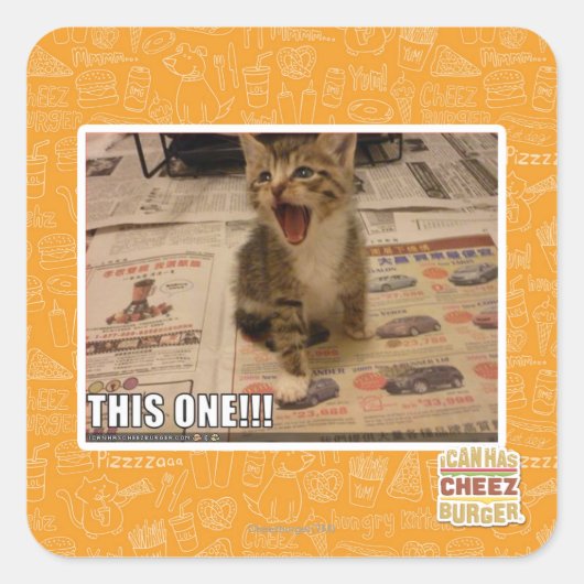 これだ！ スクエアシール (正面)