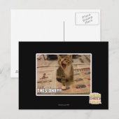 これだ！ ポストカード (正面/裏面)