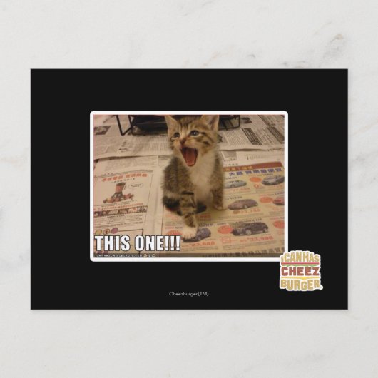 これだ！ ポストカード (正面)