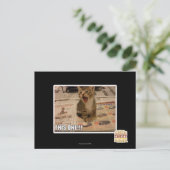 これだ！ ポストカード (スタンド正面)