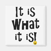 これだ！ マグネット (正面)