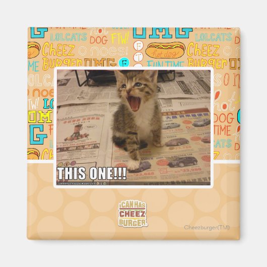 これだ! マグネット (正面)