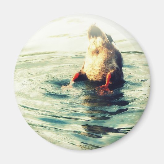 これで終わり!アヒルお尻 マグネット (正面)