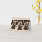 これには呪いの言葉はない。 カード (黄色い花)