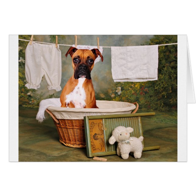 これはおもしろいではないです (正面横)