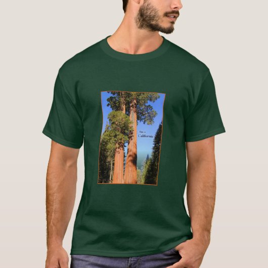 これはカリフォルニアです Tシャツ (正面)