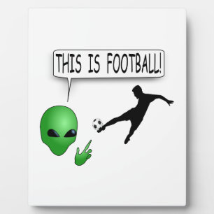 これはサッカーだ フォトプラーク