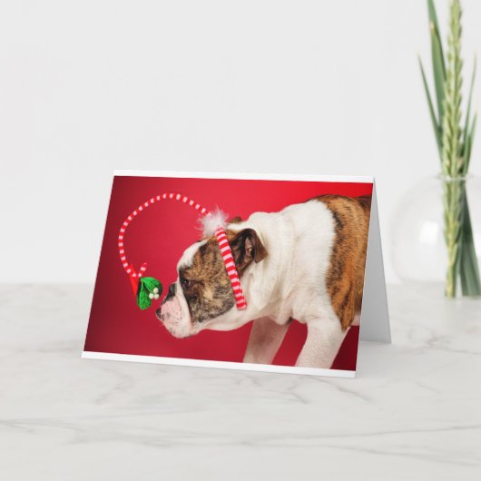 これは何だ？ シーズンカード (正面)