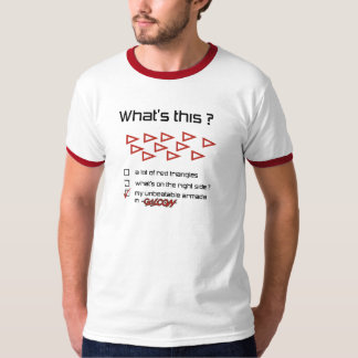 これは何ですか。 Tシャツ