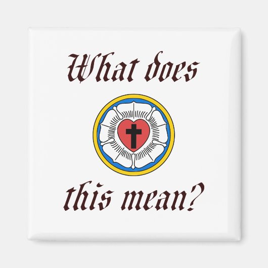 これは何を意味するか マグネット (正面)