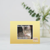 これは僕の意見だ ポストカード (スタンド正面)