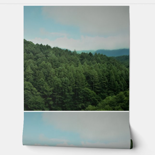 これは壁紙とその他の製品です。 壁紙 (ほどく)